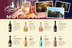 Báo giá rượu vang Moldova